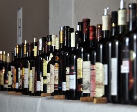 Výstavy vín